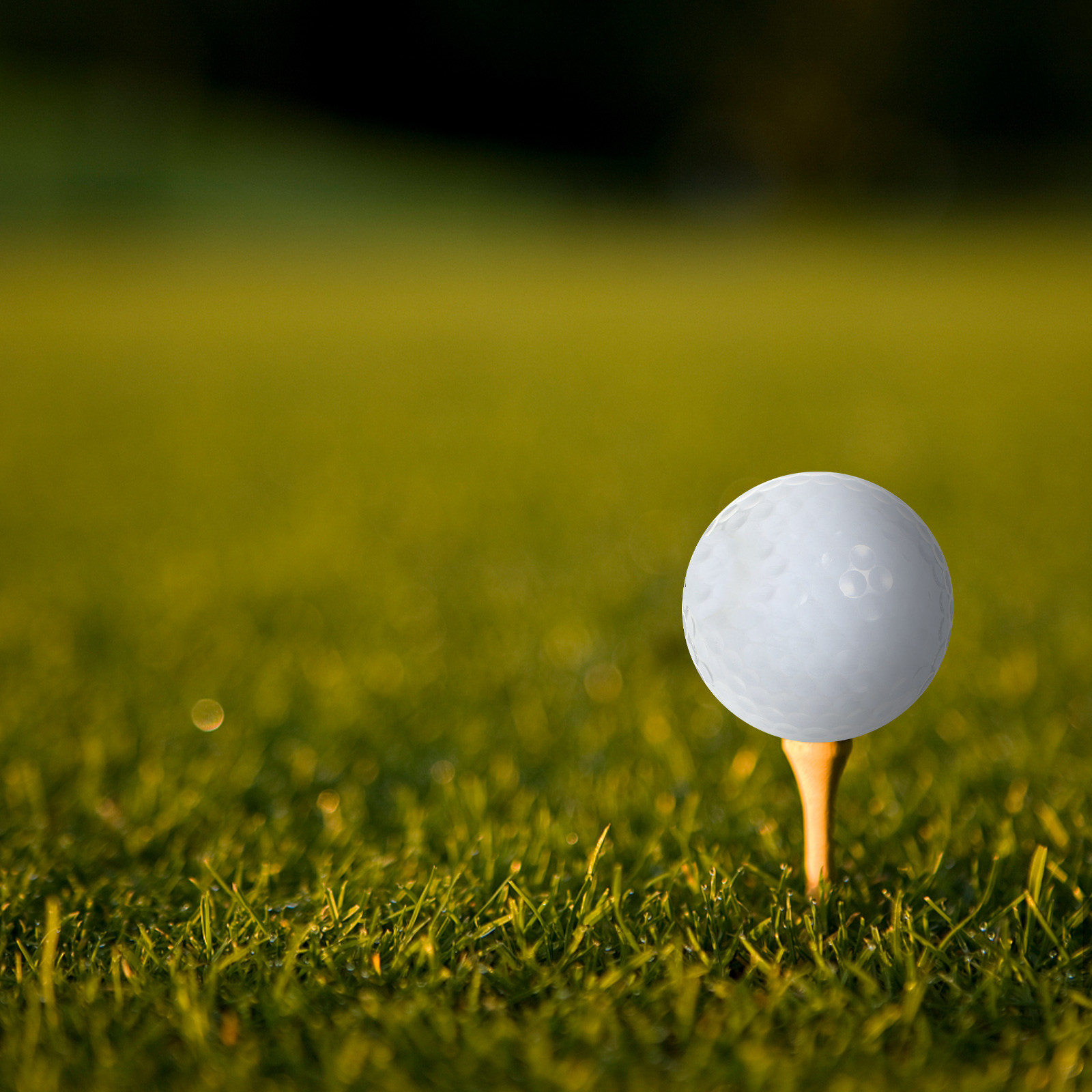 Golf Equipment Beginners - Piłki golfowe do ćwiczeń w pomieszczeniach,